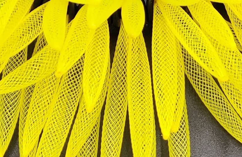 Collier - SARGASSI MINI shorts