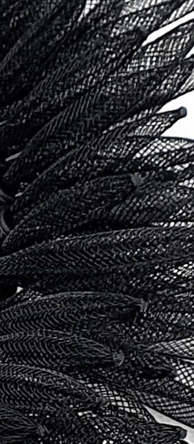 Collier - SARGASSI MINI shorts