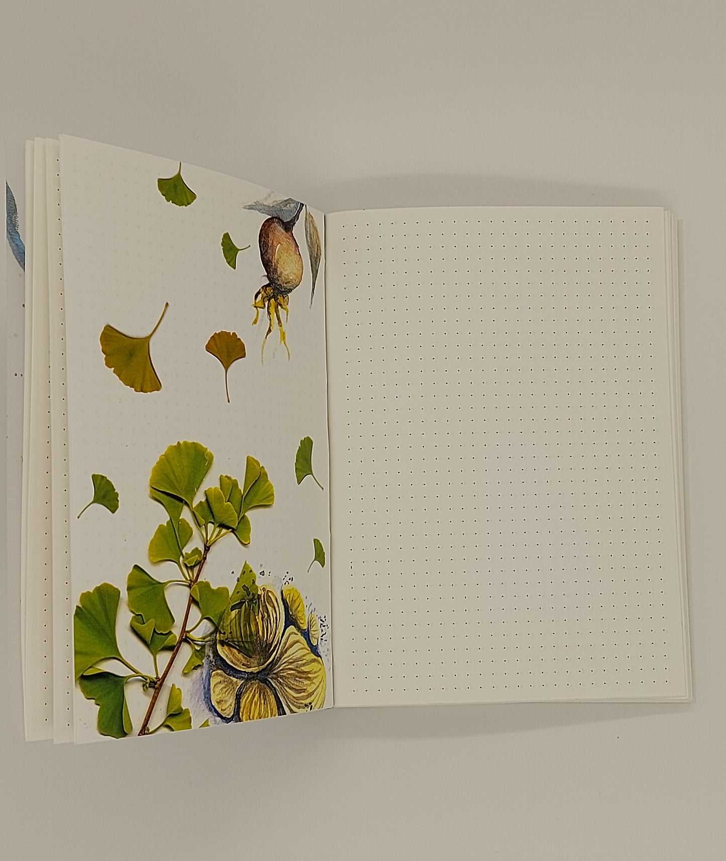 Note book - cahier